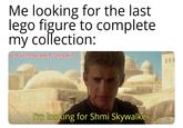 Me looking for the last lego figure to complete my collection: u/Puzzleheaded_Step468 I'm looking for Shmi Skywalker