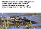 Florida man steals alligator from golf course, tries 'teaching it a lesson' by throwing it on roof of bar
