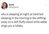 Jennii @hashjenni why is sleeping at night so hard but sleeping in the morning is like drifting away on a soft fluffy cloud while adele sings you a lullaby