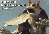 You will not harm Harry Potter! -Gollum