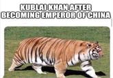 KUBLAI KHAN AFTER BECOMING EMPEROR OF CHINA