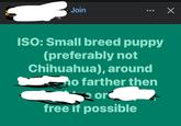 Join ISO: Small breed puppy (preferably not Chihuahua), around no farther then ΟΙ free if possible Х