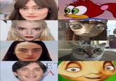 A meme comparing celeb eyes to characters. Ella Purnell is compared to Splinter Woodpecker.