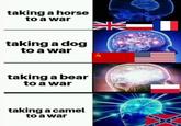 taking a horse to a war taking a dog to a war taking a bear to a war taking a camel to a war