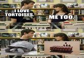 Spy I LOVE TORTOISES." ..ME TOO." imgiip.com UB40 RED ELLOW STREET Spy