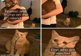 Epstein and Trump on the island made with mematic Elon who got rejected