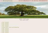 Anonymous 01/31/26(Sat) 17:34:38 No.945469374 >/b/ tree! >/b/ tree! >/b/ tree! >/b/ tree! >women are property >/b/ tree! >/b/ tree! IMG 1987.jpg 767 KB JPG >/b/ tree! >/b/ tree!
