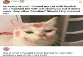 r/cats Im really stupid. I kissed my cat with lipstick on. I washed her with cat shampoo but it didnt work. Any other Solution? Should I try coconut oil? this is what i thought animal testing for cosmetic products was when i was a kid