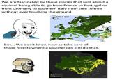 We are fascinated by those stories that said about a squirrel being able to go from France to Portugal or from Germany to southern Italy from tree to tree without ever touching the ground. 1000 BC But... We don't know how to take care of those forests where a squirrel can still do that. MIKE