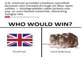 U.K. internet provider's bailout cancelled because rats chewed through its fiber optic cables - biodegradable cable jackets use soy- or corn-based materials, attracting hungry rats News By Jowi Morales published 23 hours ago WHO WOULD WIN? NIK The Br*tish Some fluffy boyz