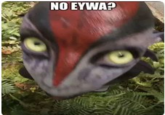 NO EYWA?