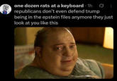 one dozen rats at a keyboard · 1h republicans don't even defend trump being in the epstein files anymore they just look at you like this