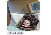I lived bitch