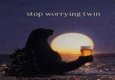 stop worrying twin