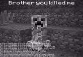 Brother you killed me So the Villagers could controbyour media So the Villagers could control your banks So the Villagers could control your diamonds So the Villagers could control your servers So your children could die for Villagers So griefers could destroy your cities So trolls could ruin your servers So you become a prisoner in your own homes So your diamonds and armor are gone forever