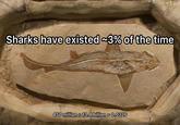 Sharks have existed 3% of the time 450 million + 13.8 billion 0.0326