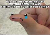 POV: ME WHEN MY DRINK GETS WATERED DOWN. (IT WAS SITTING ON THE COUNTER FOR 3 DAYS.) imgflip.com