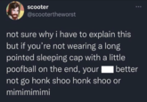 scooter @scootertheworst not sure why i have to explain this but if you're not wearing a long pointed sleeping cap with a little poofball on the end, your better not go honk shoo honk shoo or mimimimimi 600