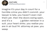 soul nate @MNateShyamalan ... imagine it's your day in court for a horrible crime you didn't commit. your lawyer is late, you haven't even met them yet. then the doors swing open, g golden retriever in a suit. your heart sinks. you realize you are in air bud 14: attorney at paw. you and it's a weep