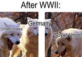 United States After WWII: Germany Soviet Union