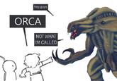 hey guys ORCA NOT WHAT I'M CALLED