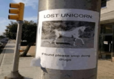 m LOST UNICORN: If found please stop doing drugs