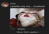 A comment left on TikTok by Amy under an ICE video. It reads, "I prefer my ice... crushed" and uses a cat image.