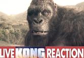 LIVE KONG REACTION