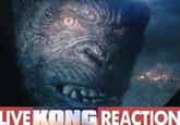 LIVE KONG REACTION