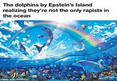 The dolphins by Epstein's Island realizing they're not the only rapists in the ocean made with mematic