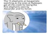 The 15 elephants at Gaugamela watching as the ones at Hydaspes get all the credit for being the first elephants seen by Alexander and his forces