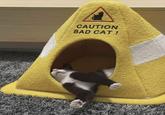 CAUTION BAD CAT!