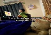 Plaf Lol.horizon i work, so my cat can sleep all day