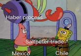 Haber process Saltpeter trade Mexico Chile