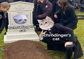 Schrödinger's cat Schrödinger's cat