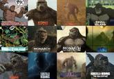 HEFF @THE CARIBBEAN ESCAPE FROM SKULL ISLAND CHROR KONG SKULL ISLAND SKULL ISLAND THE GIRTH T KONG SKULL ISLAND RETURN TO SKULL ISLAND MONARCH LEGACY OF MONSTERS MONARCH THE LOST ADVENTURES THITE BYTE wwwwww PODZILLA TNG & MONSTERS KONG GODZILLA KONG GODZILLA KONG THE HUNTED GODZILLA KONG THE NEW EMPIRE