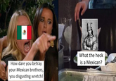 How dare you betray your Mexican brothers, you disgusting wretch! What the heck is a Mexican?