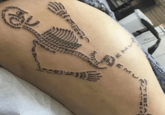 PARIE U 1435 NUMER THORY TRIB LIUM SACRUMTI Stand, PHALANK PMAL EMUR EMU FIBULA TIBIA