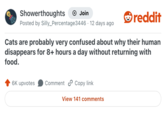 Showerthoughts Join Posted by Silly_Percentage3446 12 days ago reddit Cats are probably very confused about why their human disappears for 8+ hours a day without returning with food. 6K upvotes Comment Copy link View 141 comments