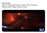 Nobody: Me: If Wood Elves Like The Forest, What Do High Elves Like MEMES