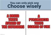You can only pick one Choose wisely A DRUID THATS A PYROMANCER AFRAID OF THE OUTDOORS imgflip.com THATS SCARED OF FIRE