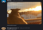 Blizly Today at 12:08 AM Flamethrower Dragonverse :) Today at 12:39 AM That's the sun.