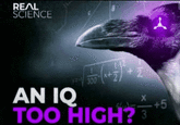 Variation of An IQ Too High? Meme