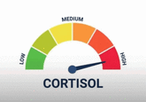 LOW MEDIUM CORTISOL HIGH