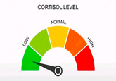 LOW CORTISOL LEVEL NORMAL Tree HIGH