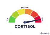 LOW MEDIUM HIGH CORTISOL @ozmep