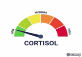 LOW MEDIUM HIGH CORTISOL @ozmep
