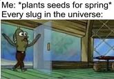 Me: *plants seeds for spring* Every slug in the universe: CD