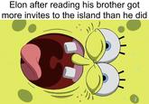 Elon after reading his brother got more invites to the island than he did