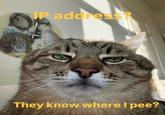 IP address? They know where I pee?